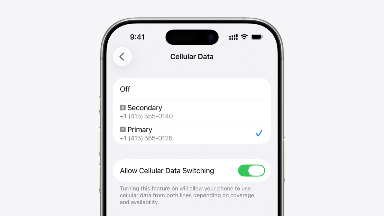 The iPhone Cellular Data setting showing a Primary and a Secondary line, with Allow Cellular Data Switching turned on