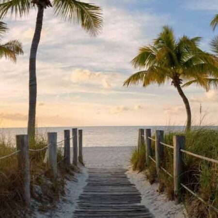 Best Cell Phone Plans & Carriers in Midway, FL