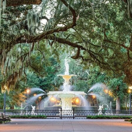 Best Cell Phone Plans & Carriers in Savannah, GA