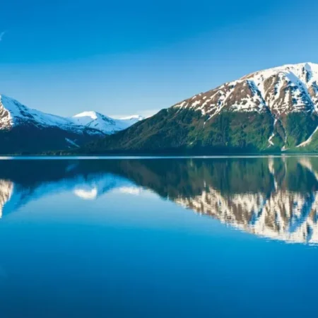 Off-Road Coverage: Verizon vs. AT&T in Southcentral Alaska