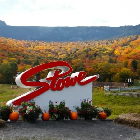 Best Cell Phone Plans & Carriers in Stowe, VT